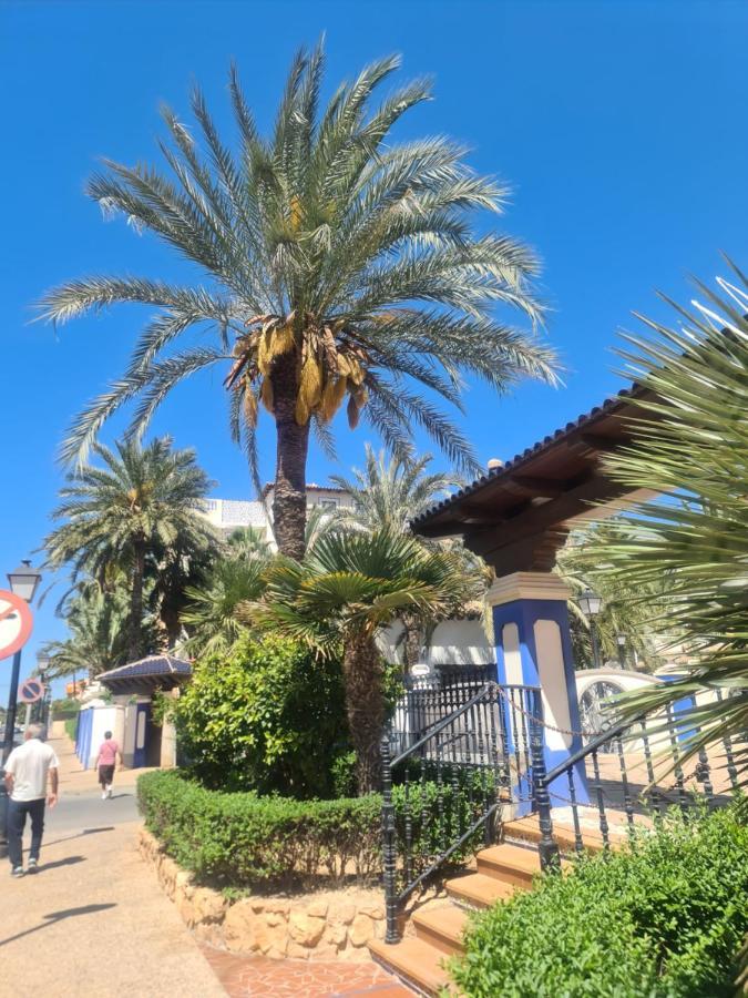 La Dama Apartment Torrevieja Exterior foto